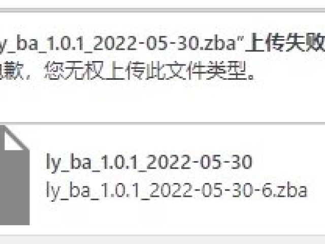 修改增加WP上傳文件類(lèi)型上傳失敗的問(wèn)題